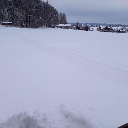 Haus Maier Apartman Marquartstein Kültér fotó